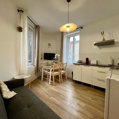 Cosy Hypercentre De Apartmán Libourne